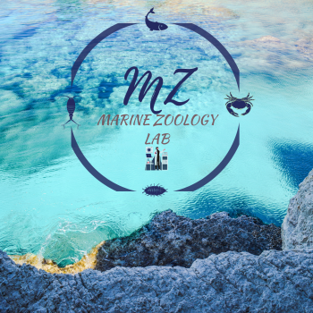 Specializations: Crustacean Biology and Fisheries Science)